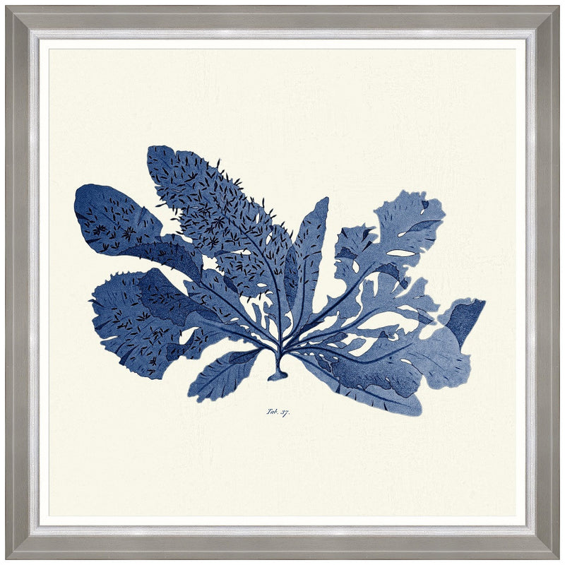 Wandbild Seaweed Indigo I