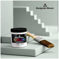 Farbprobe Benjamin Moore Cheating Heart 1617