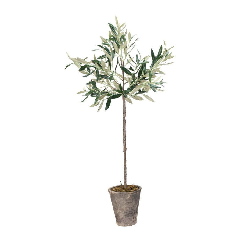 Lene Bjerre Flora Olivenbaum H73 cm.