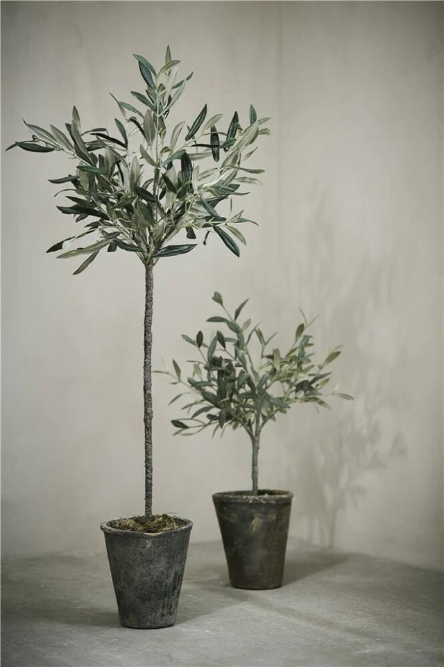 Lene Bjerre Flora Olivenbaum H73 cm.
