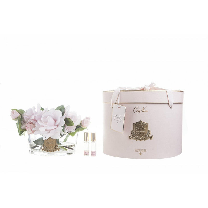 Côte Noire Oval French Pink - Pink Box with Gold
