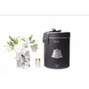 Côte Noire Roses & Lilies - White