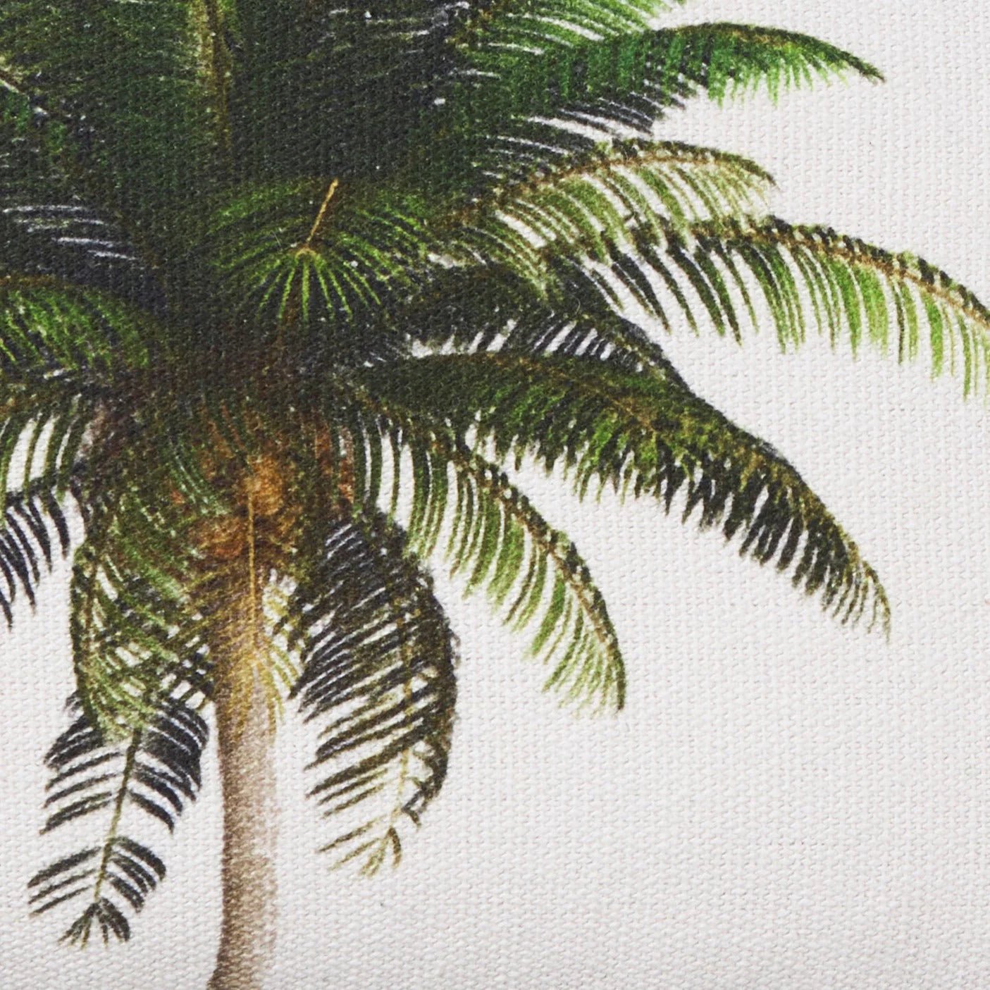 Paloma Living Kissen Bahama Palm 30x50